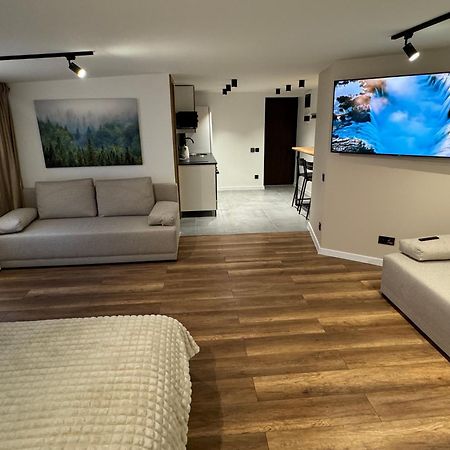 Gray Apartment 24H - Parking On The Street 卡托维兹 外观 照片