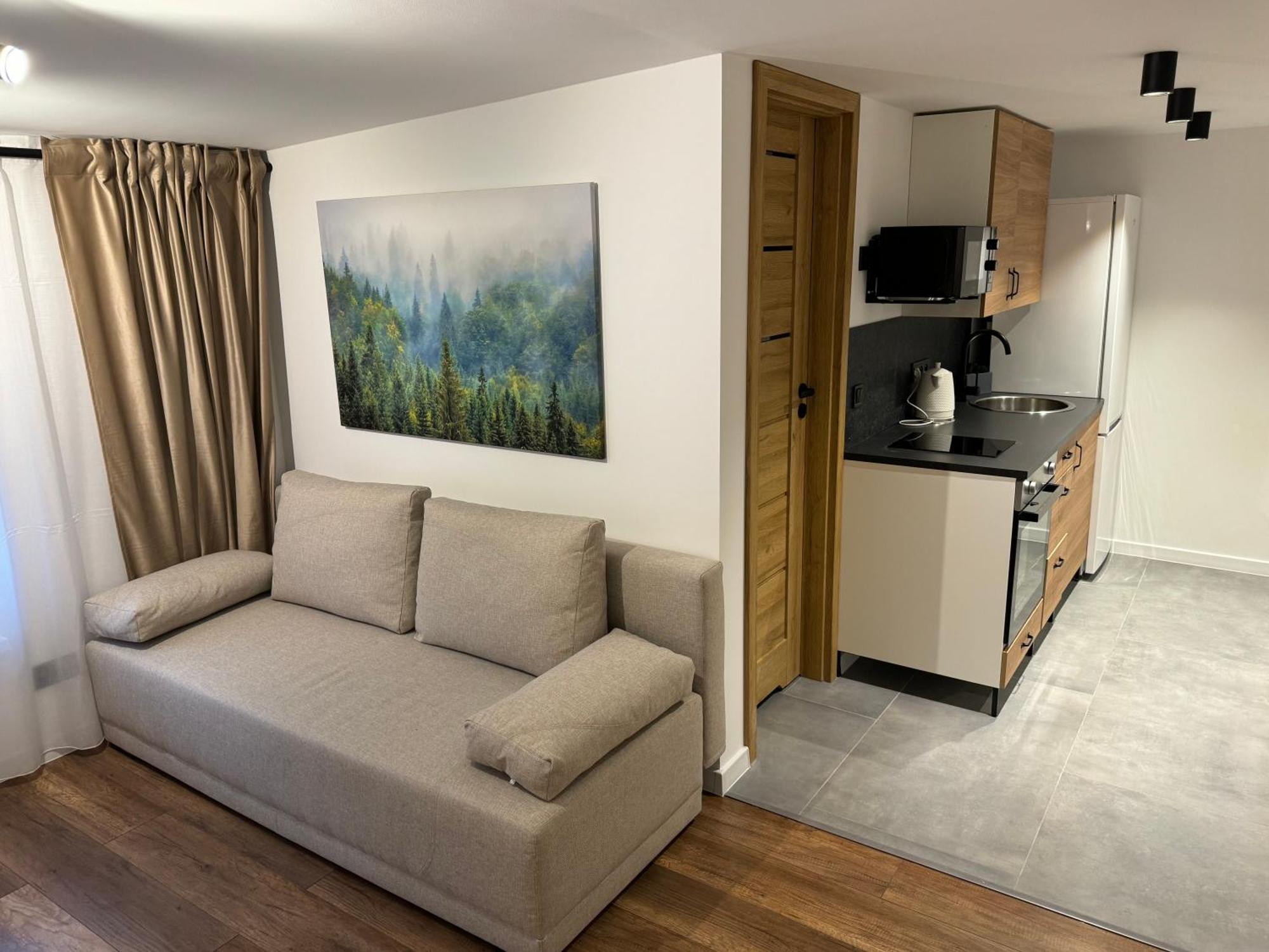 Gray Apartment 24H - Parking On The Street 卡托维兹 外观 照片